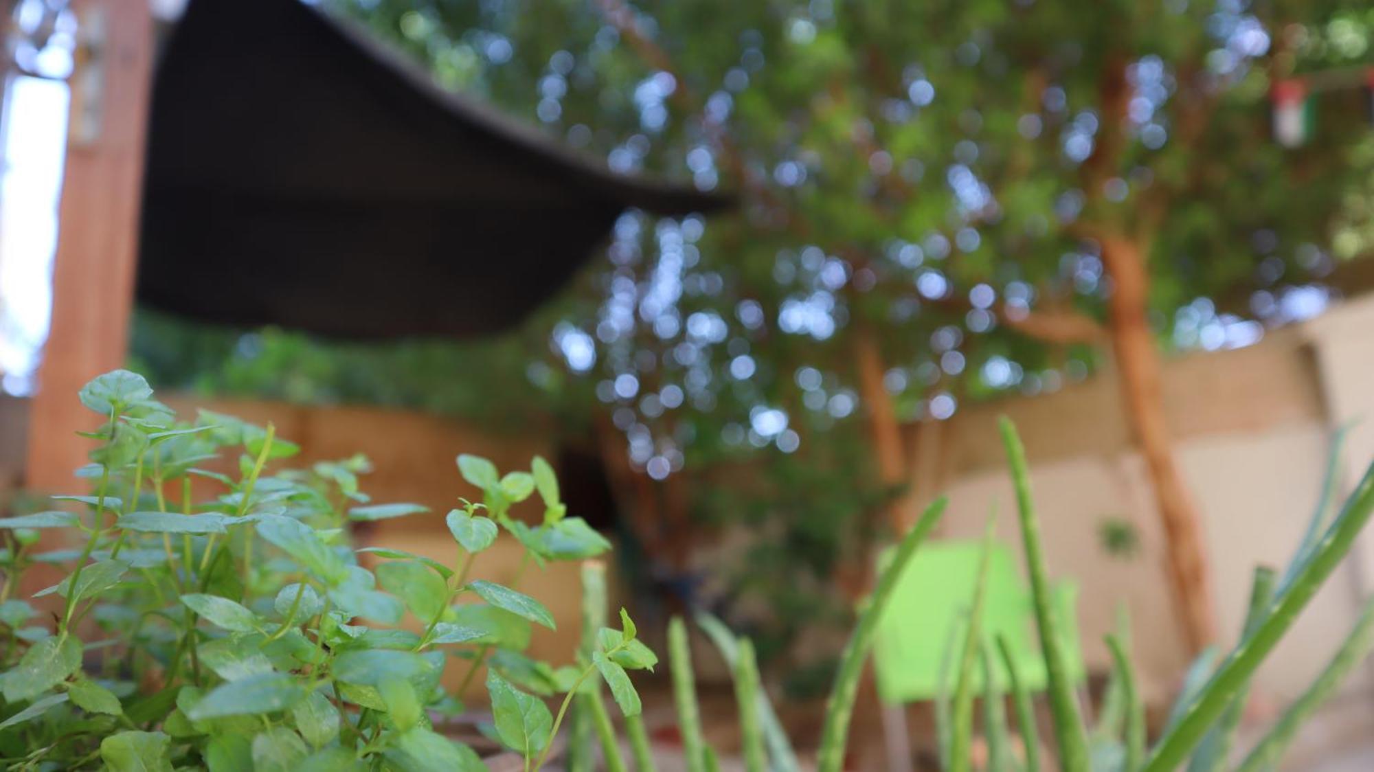Extra Traveller Hostel Aqaba Ngoại thất bức ảnh